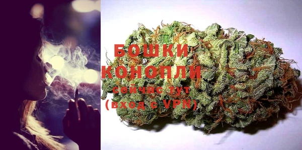 стаф Няндома