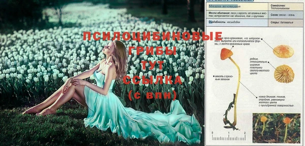 МДМА Алзамай