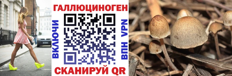 Псилоцибиновые грибы прущие грибы  Новокубанск 