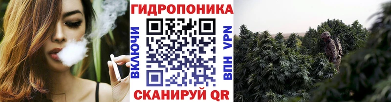 Шишки марихуана Bruce Banner  где найти   Новокубанск 